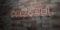 CORNELL - Glowing Neon Sign on stonework wall - 3D rendered royalty free stock illustration