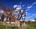 Cornell pulpwood stacker in mill yard park WI