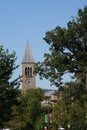 Cornell`s Clock Tower through the Trees Royalty Free Stock Photo