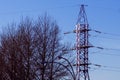 The corner anchor of the power transmission line behind the trees is lit by a low sun against a blue sky Royalty Free Stock Photo