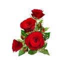 Corner arrangement with red roses and gypsophila flowers and bud Royalty Free Stock Photo