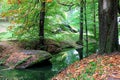 Corner of autumn forest with a small river and stones Royalty Free Stock Photo