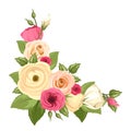 Corner background with pink and orange roses, lisianthuses and ranunculus flowers. Vector illustration. Royalty Free Stock Photo