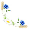 Corner with blue cornflowers and chamomile, wheat ears on a white background. Royalty Free Stock Photo