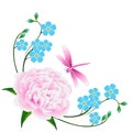 Corner with blue forget me not flowers and a pink peony with a dragonfly. Royalty Free Stock Photo