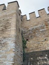 Corner of the castle walls with ivy growing in it