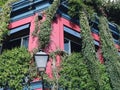 Corner of coloured house overgrown by greenery in historical part of the city Royalty Free Stock Photo