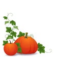 Corner composition pumpkins, leaves and vines Royalty Free Stock Photo