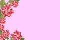 Photo frame, pink rose flowers and buds on the edge, illustration