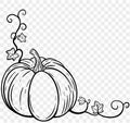 Corner and drawn pumpkin with leaves and vine in brush style isolated on transparent PNG background for Thanksgiving