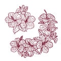 Corner element and Bouquet of Hibiscus flowers for cards, invitations and decorating things or coloring. Vector illustration Royalty Free Stock Photo