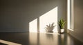 Empty Room Corner with Sunlight Casting Shadows from a Plant and Window interior Royalty Free Stock Photo