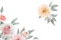 Corner floral frame of creamy red and pink roses and one beige rose and leaves isolated on white background. Hand drawn watercolor Royalty Free Stock Photo