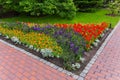 Corner flowerbed with bright orange, blue and red flowers at the intersection of tiled garden paths against the backdrop