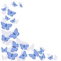 Corner frame of blue butterflies isolated on white background. Vector clipart