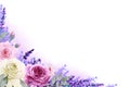 Corner frame of white, pink and purple roses and lavender flowers with lilac gradient fog isolated on white background. Hand drawn