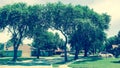 Corner house in quite neighborhood with tall trees canopy and pathway sidewalk