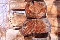 Corner of an old log cabin country house.  The cut surface of old logs. Close-up. Royalty Free Stock Photo