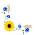 Corner ornament with sunflower and cornflowers on a white background.