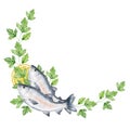 Corner seafood frame with parsley, salmon and lemon slice on white background Royalty Free Stock Photo