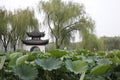 A corner of TAORAN garden in summer Peking