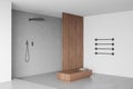 Corner view on bright bathroom interior with shower, wooden partition