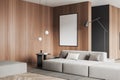 Corner view on bright living room interior with empty poster Royalty Free Stock Photo