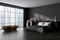 Corner view on dark bathroom and bedroom interior with bathtub Royalty Free Stock Photo