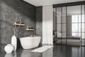 Corner view on dark bathroom and bedroom interior with bathtub Royalty Free Stock Photo