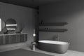 Corner view on dark bathroom interior with bathtub, shower, mirrors Royalty Free Stock Photo
