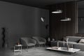 Corner view on dark living room interior with grey wall Royalty Free Stock Photo