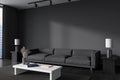 Corner view on dark living room interior with grey wall Royalty Free Stock Photo