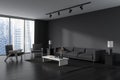 Corner view on dark living room interior with grey wall Royalty Free Stock Photo