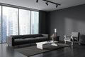 Corner view on dark living room interior with grey wall Royalty Free Stock Photo