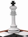 Cornered chess white king Royalty Free Stock Photo