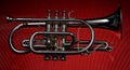 Cornet 05 Royalty Free Stock Photo