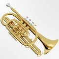 Cornet Royalty Free Stock Photo