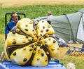 Cornetto Vehicle Detail - Tour de France 2015