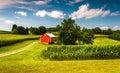 Cornfield and barn on a farm in Southern York County, PA Royalty Free Stock Photo