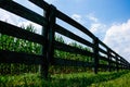 Cornfield Behind the Fence Royalty Free Stock Photo