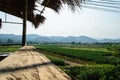 Cornfield behind the mountains in the evening. Royalty Free Stock Photo