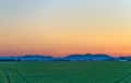 Cornfield at dusk in Pfalz Royalty Free Stock Photo