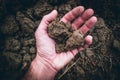 Human male hand with fertile soil moody style image Royalty Free Stock Photo
