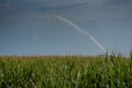 Cornfield irrigation with lug pump Royalty Free Stock Photo