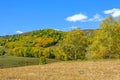 cornfield and mountain forest in the autumn