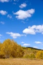 cornfield and mountain forest in the autumn