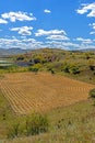 cornfield and mountain forest in the autumn