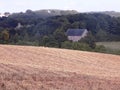 Cornfield near New Etal, Northumberland, England.