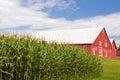 Cornfield and red barn Royalty Free Stock Photo