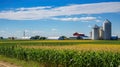 Cornfield with silos and farm in the distance